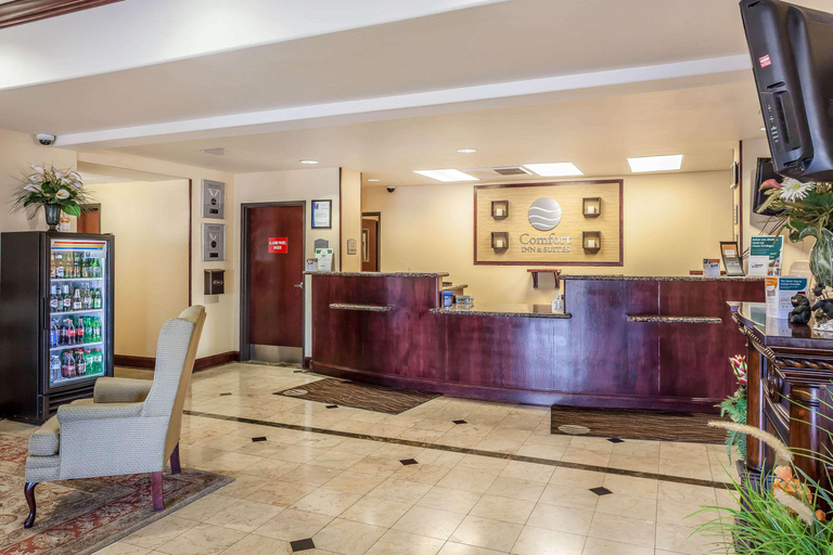 Public Area 2, Comfort Inn & Suites Airport, Washoe