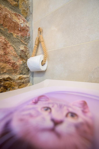 Bathroom 3, Kirki Old Winery Guest House, East Macedonia and Thrace