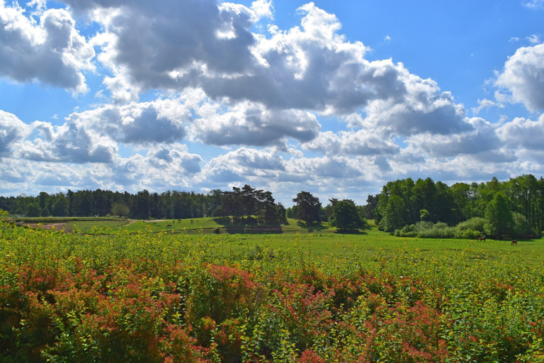 View from property 3, Ferienhaus am Garder See mit Panorama, Rostock