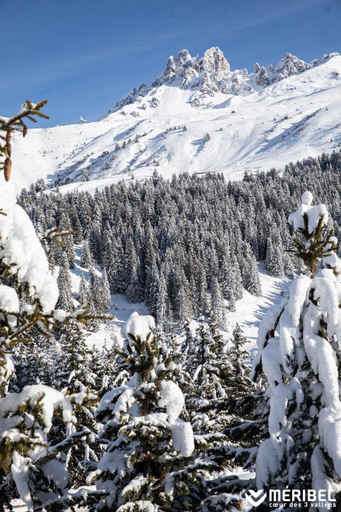 Others 3, Le Chalet Joly, Savoie