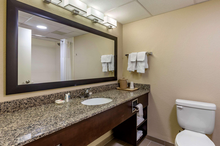 Bathroom, Comfort Inn Clinton, Sampson