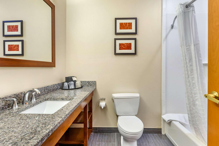 Bathroom 4, Comfort Suites (Southgate), Wayne