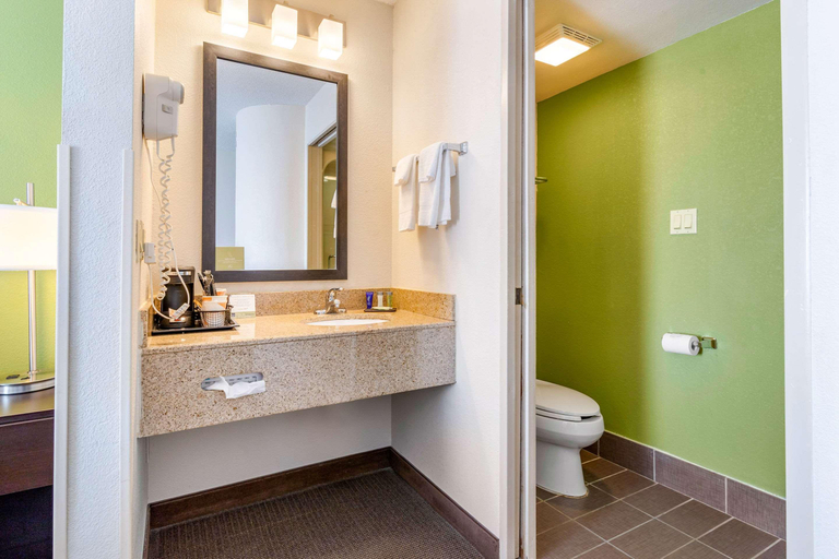 Bathroom 5, Sleep Inn I 95 North Savannah, Chatham