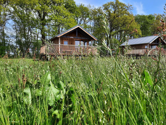 Others 5, Lodge in Drenthe with Scenic Veranda, De Wolden