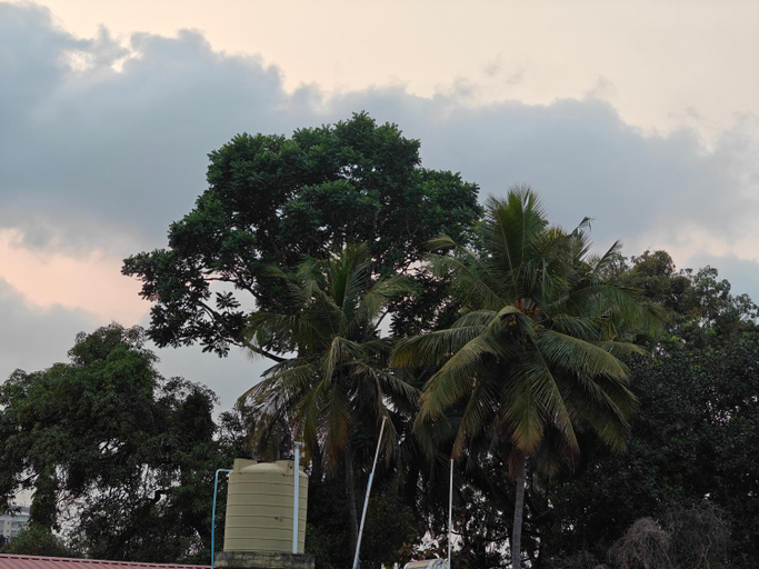 Others 4, Sri Vidya Palace, Udupi