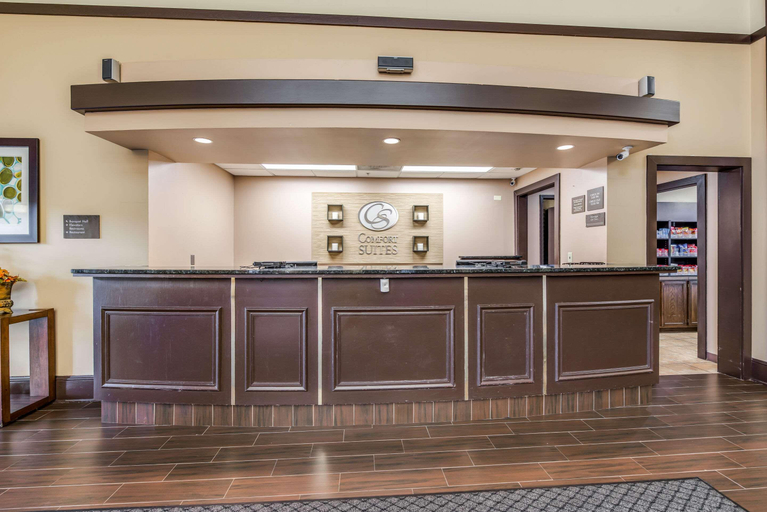 Public Area 2, Comfort Suites O'Hare Airport, Cook