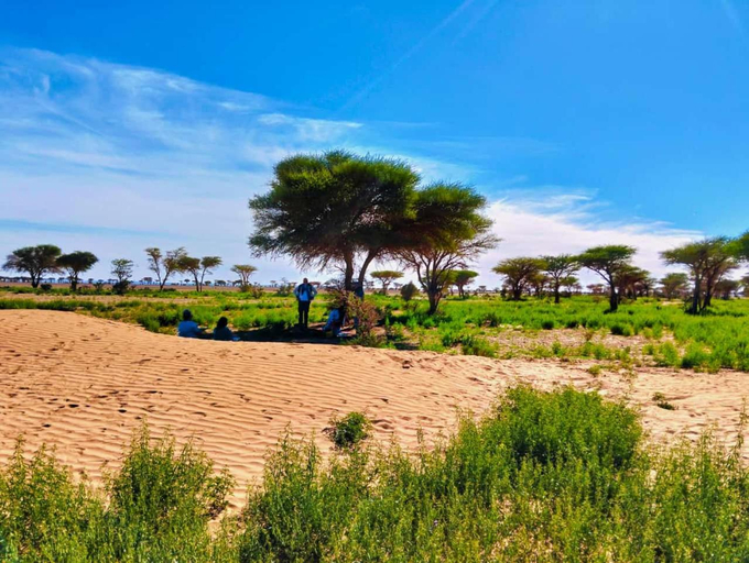 Others 5, Bivouac Sahara Passions, Ouarzazate