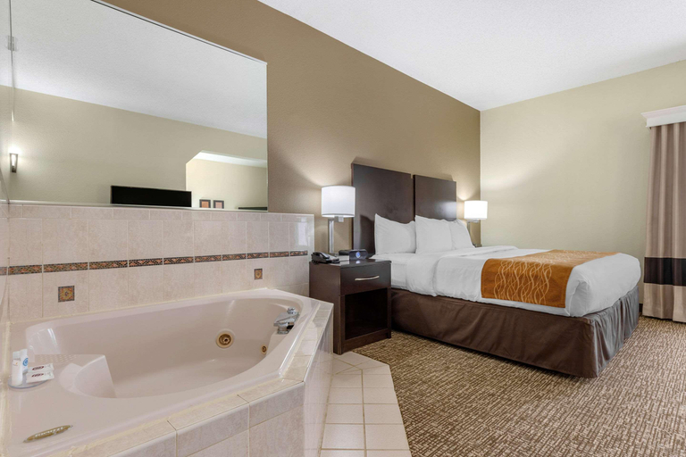 Bathroom 5, Comfort Inn & Suites Lake Norman, Mecklenburg