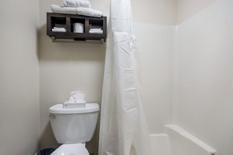 Bathroom, Mountain Vista Hotel, Gallatin