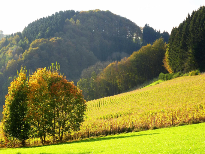 Others 4, Ferienhaus in Oberkirchen nahe Skilift, Hochsauerlandkreis