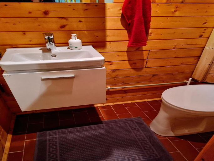 Bathroom 3, Alpine Hut in Murau near Ski Slope, Murau
