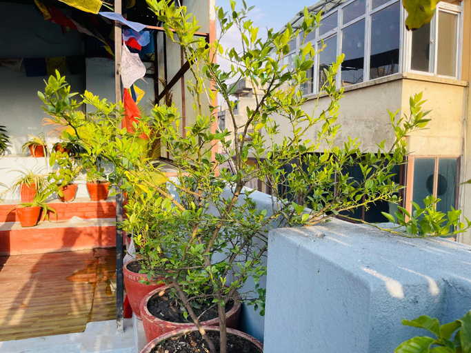 Exterior & Views 2, Holyland Guest House, Bagmati