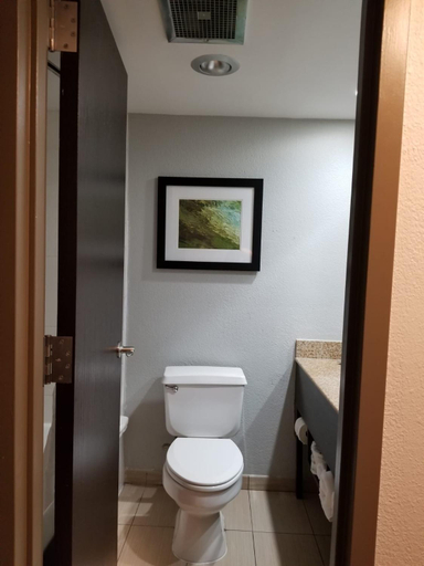 Bathroom 4, Wyndham Garden Jacksonville, Duval