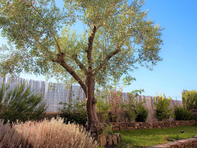 Others 5, Holiday Home in Guadiana Park near River, Mértola