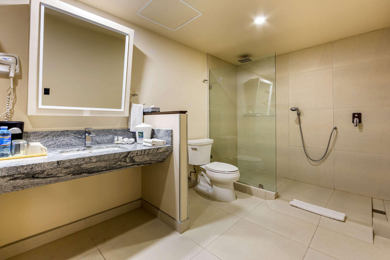 Bathroom 4, Hotel Chihuahua San Francisco, Chihuahua