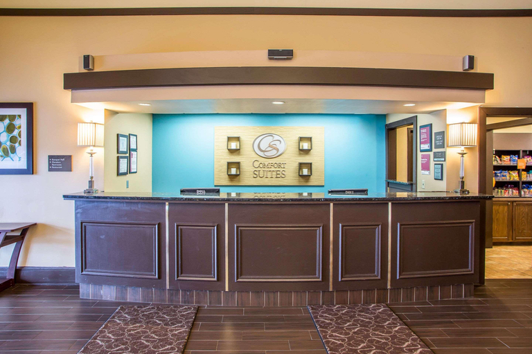 Public Area 2, Comfort Suites O'Hare Airport, Cook