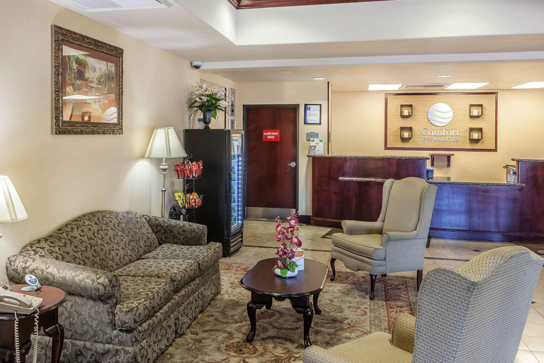 Public Area 2, Comfort Inn & Suites Airport, Washoe