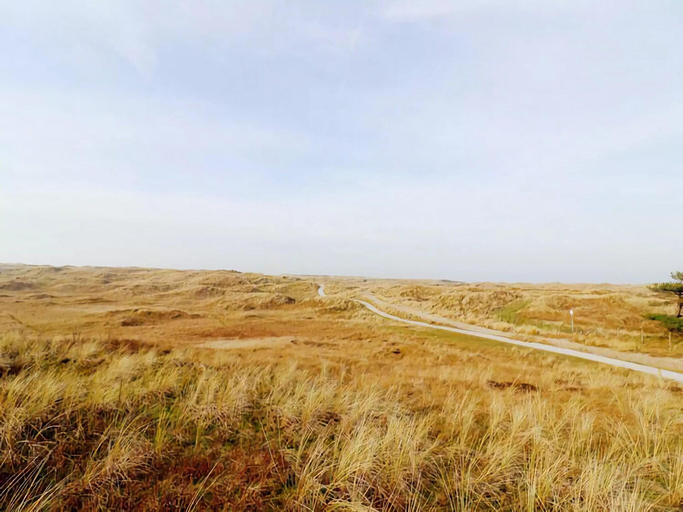 3, Restful Dune Chalet in Hollum, Ameland