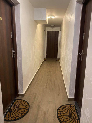 Others 4, Apartamenty Otryt, Bieszczady