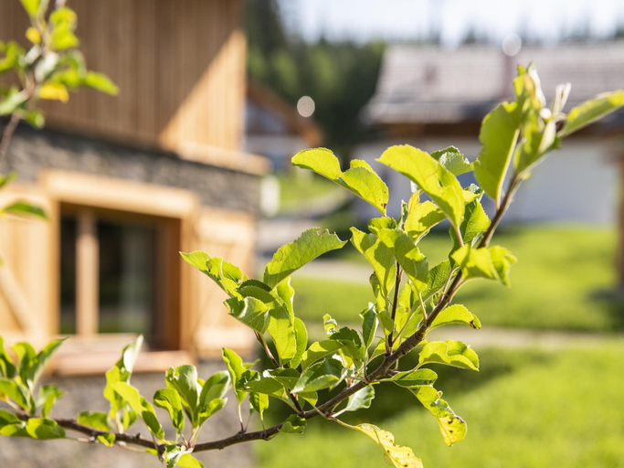 Exterior & Views 1, Cosy chalet in Wolting with natural swimming pond, Tamsweg