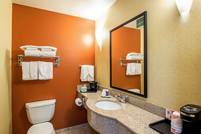 Bathroom 4, Sleep Inn & Suites Madison Area, Dane