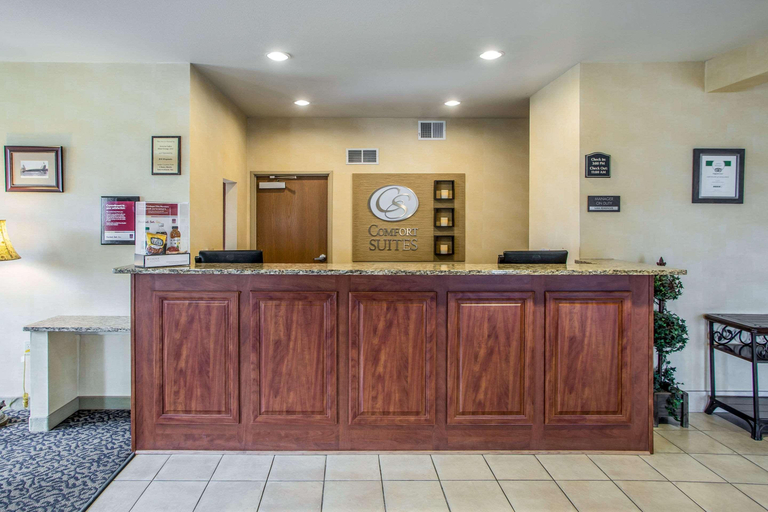 Public Area 2, Comfort Suites Lake Geneva East, Walworth