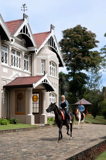 Exterior & Views 2, The Bellwood Manor, Nuwara Eliya