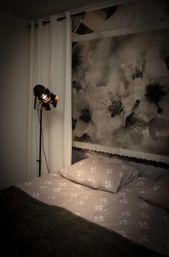 Bedroom 2, Kotimaailma Alex House, Päijänne Tavastia