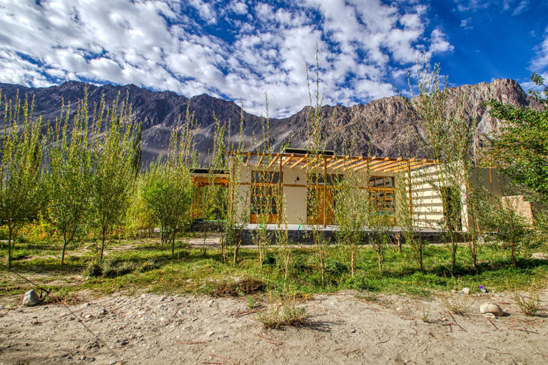Others 4, TIH CHALET SEABUCKTHORN, Leh