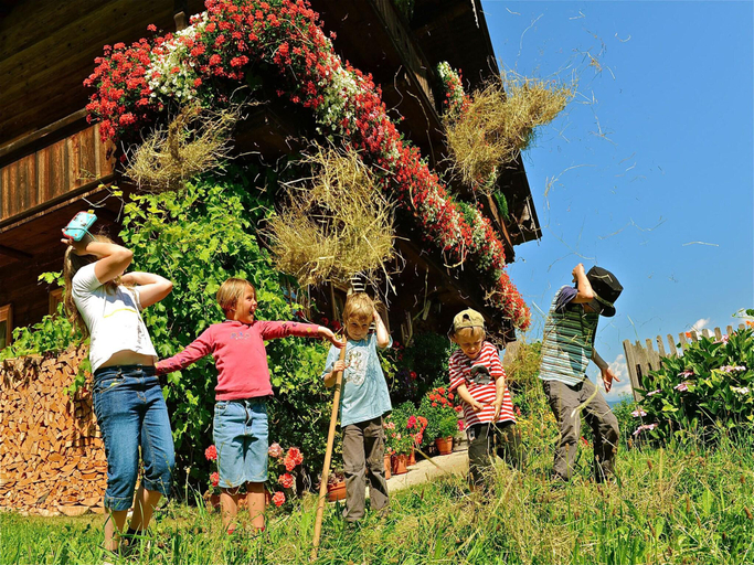 Others 2, Chalet in Reith near Ski Juwel Alpbachtal, Kufstein
