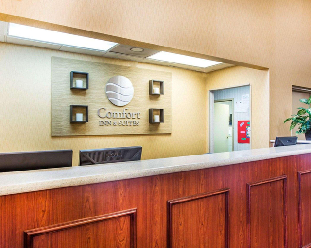 Public Area 3, Comfort Inn & Suites at Stone Mountain, Gwinnett