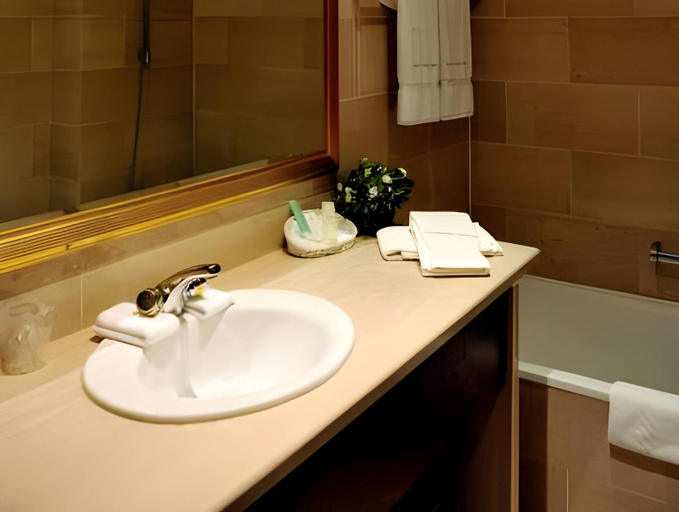 Bathroom 5, Hotel Kasteel Solhof, Antwerpen