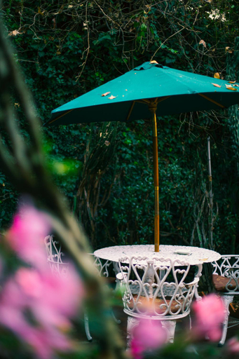 Others 4, Casa Jacinta Guest House, Mexico City