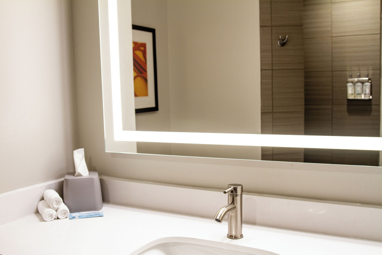 Bathroom 5, Holiday Inn Express & Suites OVERLAND PARK, Kansas City