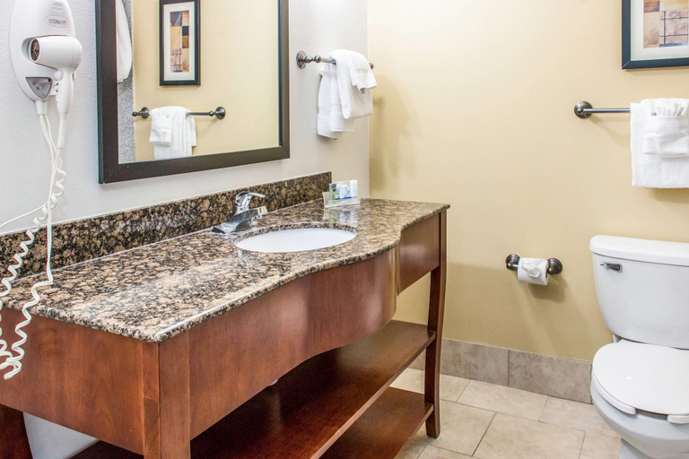 Bathroom, Sleep Inn & Suites Pooler - Savannah Area, Chatham