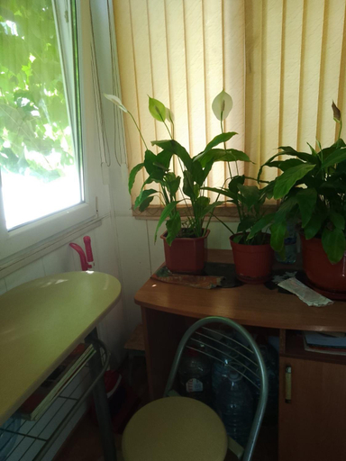 Others 5, Квартира в центре., Odes'ka
