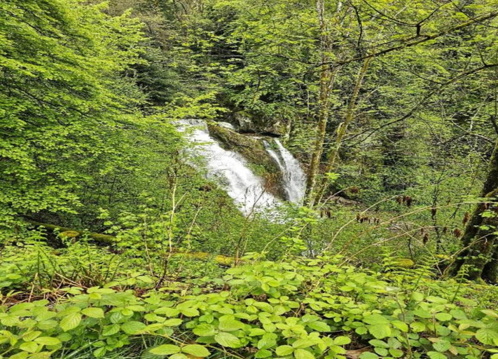 View from property 4, Elegant Chalet in Gerbepal in Cosy Environment, Vosges