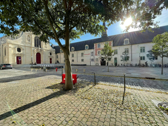 Room 4, La Cour Barbatre Calme, Marne