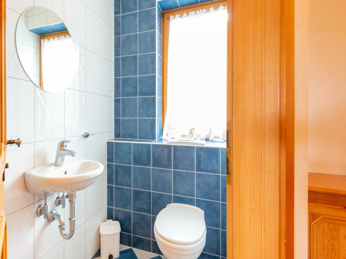 Bathroom 4, Apartment in Gattererberg Near Ski Slopes, Schwaz