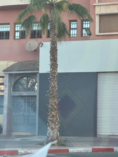 Others 5, unique studio in Agadir, Inezgane-Aït Melloul
