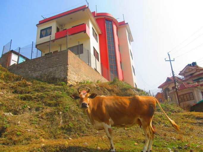Others 3, Sunrise Homestay, Bagmati