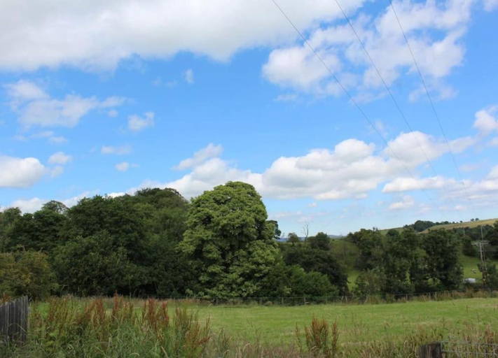 View from property 5, Spacious Cottage With Sauna Looking out on Astonishing Grasslands, Kent