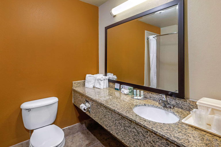 Bathroom 5, Quality Suites Addison-Dallas, Dallas