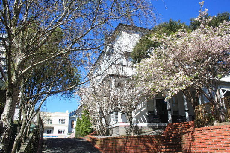 Others 3, The Terrace Villa Serviced Apartments, Wellington
