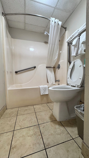Bathroom 4, Quality Inn West-Branson Theatre District, Taney