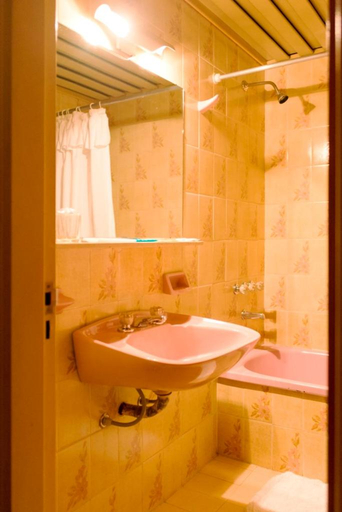 Bathroom 4, Hotel del Jardín, Capital