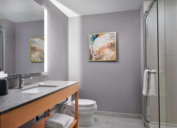 Bathroom 4, Forester Hotel, Lake