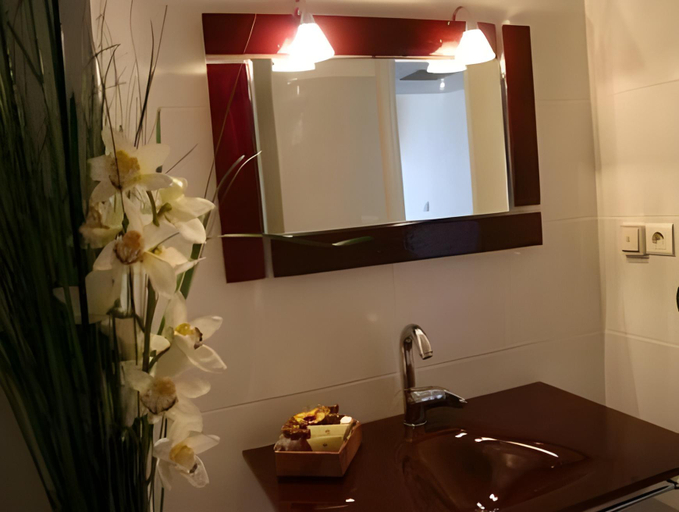 Bathroom 4, Hotel Restaurant Splendid Camargue, Gard