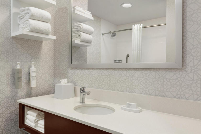 Bathroom 4, Hampton Inn Deadwood at Tin Lizzie Gaming Resort, Lawrence