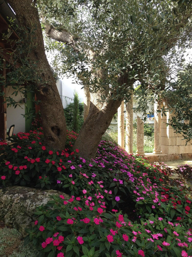 Public Area 3, Villa Vacanze Paradiso, Lecce